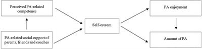Testing the Weiss-Harter-Model: Physical Activity, Self-Esteem, Enjoyment, and Social Support in Children and Adolescents